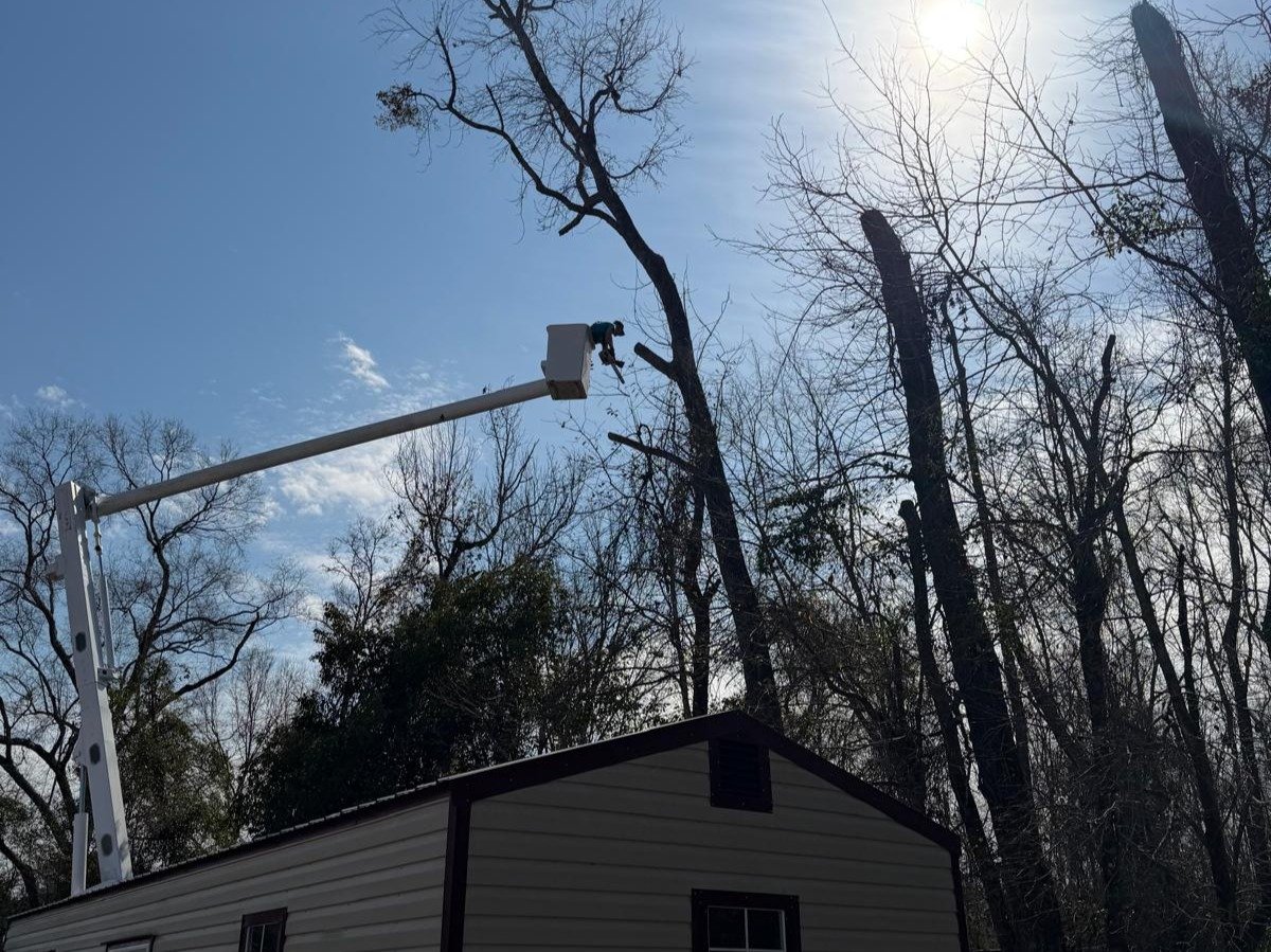 El Costeño Tree Service LLC